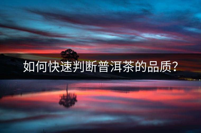 如何快速判斷普洱茶的品質(zhì)？