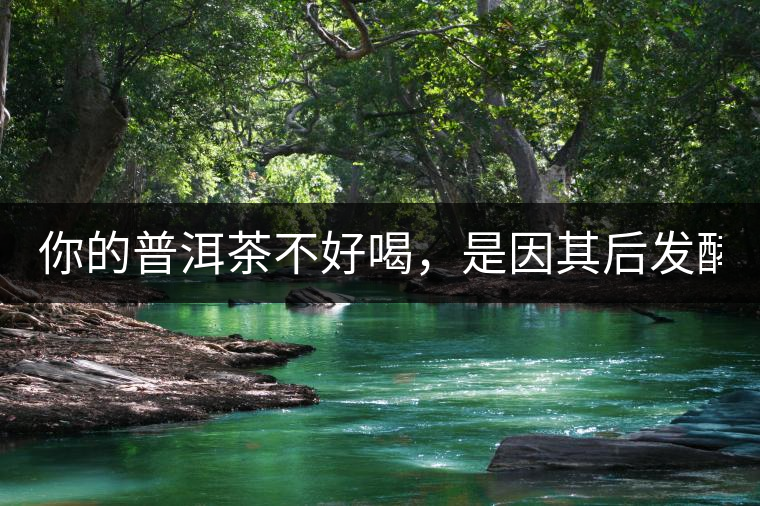 你的普洱茶不好喝，是因其后發(fā)酵能力不夠！