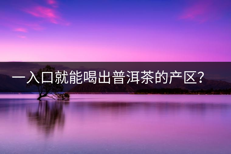 一入口就能喝出普洱茶的產(chǎn)區(qū)？怎么能不讀這篇文章呢？