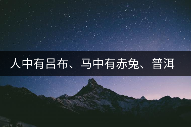 人中有呂布、馬中有赤兔、普洱中有茶化石：碎銀子！