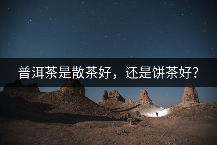 普洱茶是散茶好，還是餅茶好？