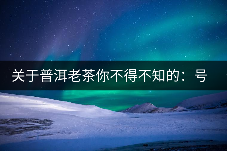 關(guān)于普洱老茶你不得不知的：號(hào)級(jí)茶、印級(jí)茶、七子餅茶