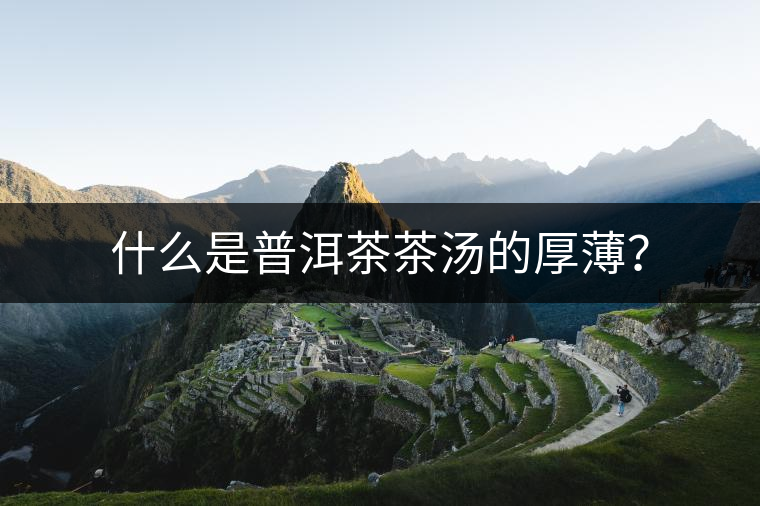 什么是普洱茶茶湯的厚薄？