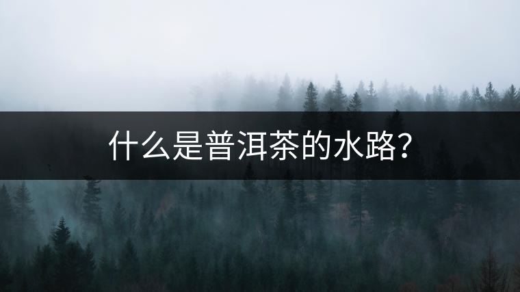 什么是普洱茶的水路？