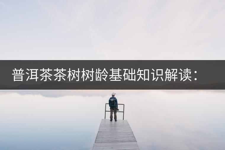 普洱茶茶樹樹齡基礎知識解讀：多大樹齡的茶才算古樹茶？