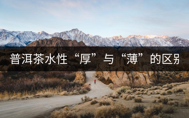 普洱茶水性“厚”與“薄”的區(qū)別！