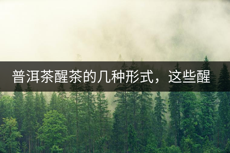 普洱茶醒茶的幾種形式，這些醒茶方法你都會了嗎？