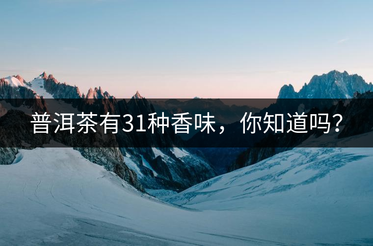 普洱茶有31種香味，你知道嗎？