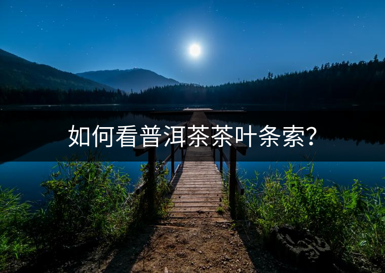 如何看普洱茶茶葉條索？