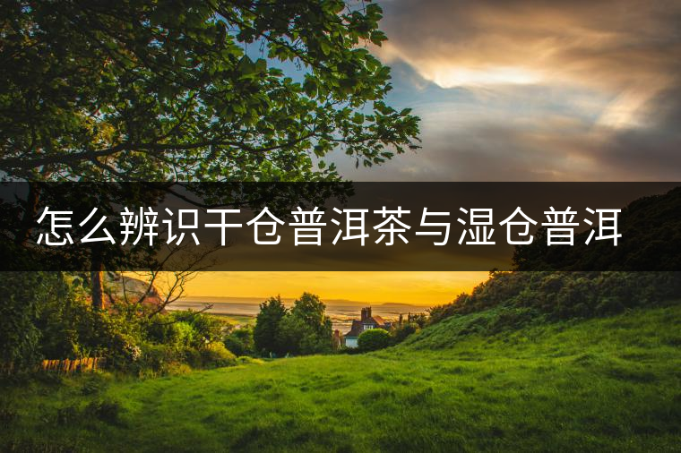 怎么辨識干倉普洱茶與濕倉普洱茶的區(qū)別？