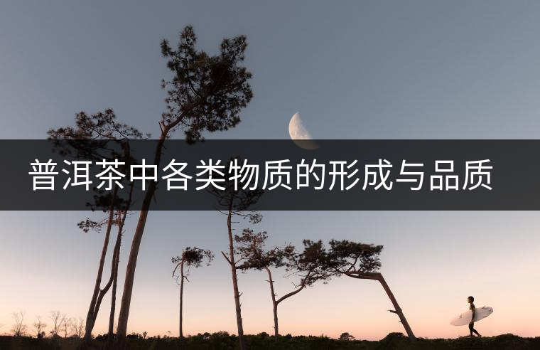 普洱茶中各類物質(zhì)的形成與品質(zhì)關(guān)系 普洱茶中各類物質(zhì)的形成與品質(zhì)關(guān)系