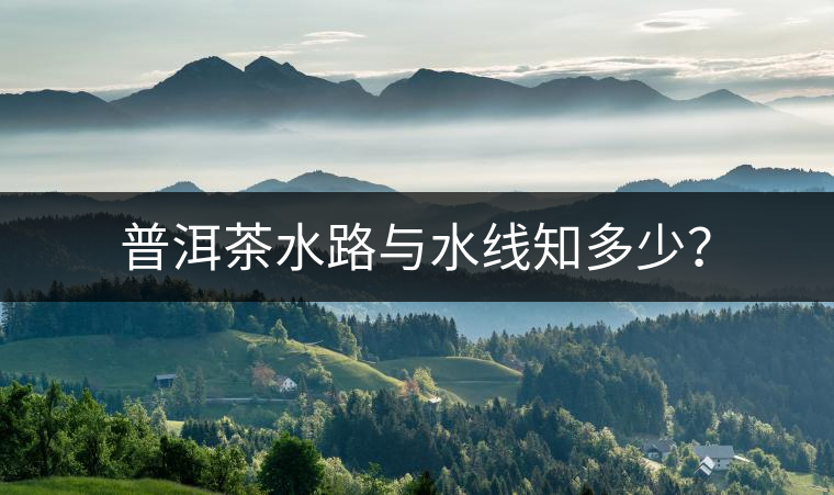 普洱茶水路與水線知多少？