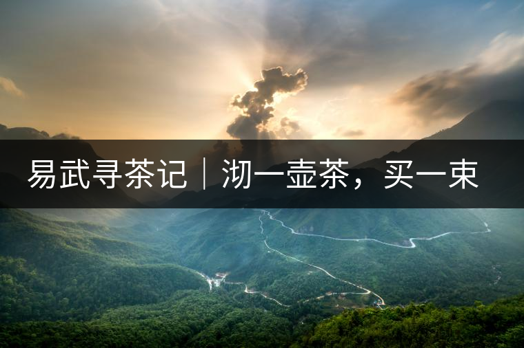 易武尋茶記｜沏一壺茶，買一束花，享半日余暇