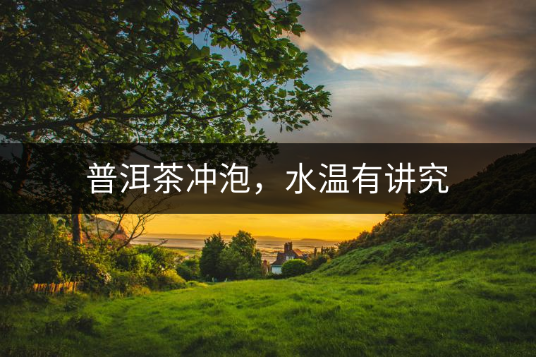 普洱茶沖泡，水溫有講究