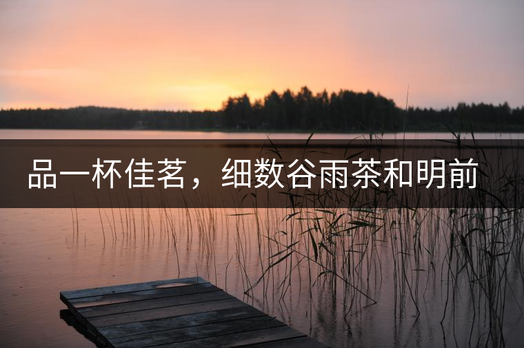 品一杯佳茗，細(xì)數(shù)谷雨茶和明前茶的區(qū)別