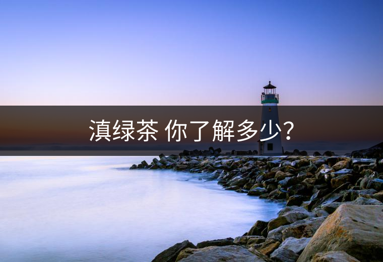 滇綠茶 你了解多少？