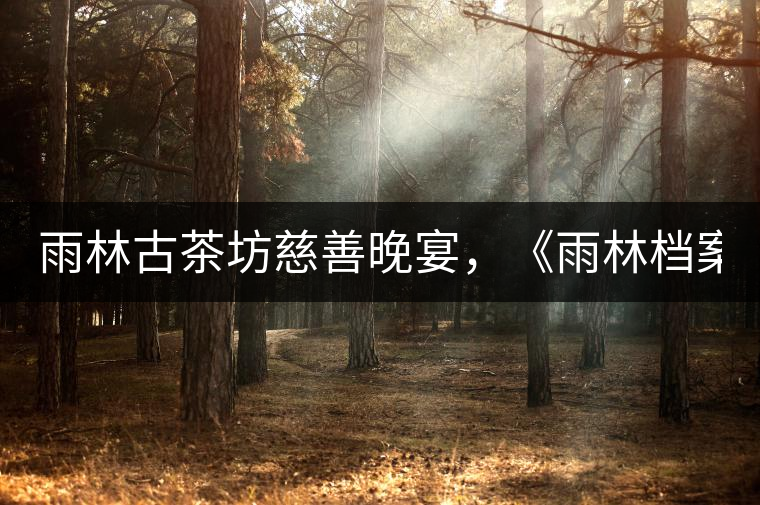 雨林古茶坊慈善晚宴，《雨林檔案·曼松》拍出106萬(wàn)！