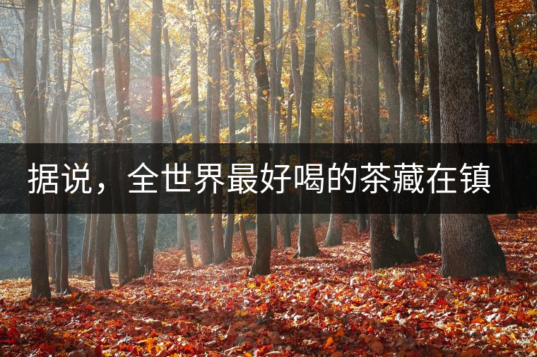 據(jù)說(shuō)，全世界最好喝的茶藏在鎮(zhèn)沅