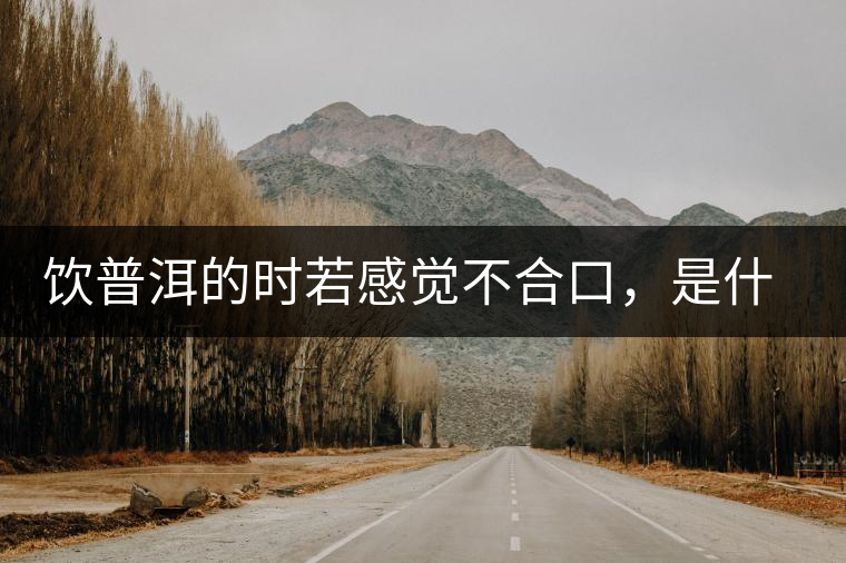 飲普洱的時若感覺不合口，是什么原呢？