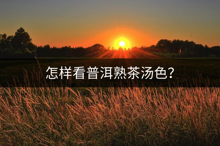 怎樣看普洱熟茶湯色？