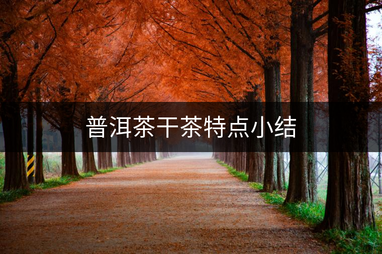 普洱茶干茶特點小結(jié)