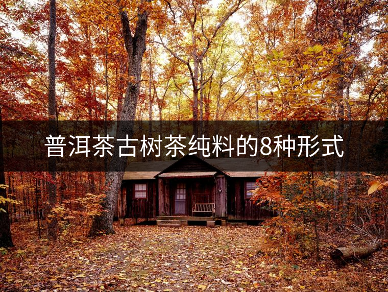 普洱茶古樹茶純料的8種形式