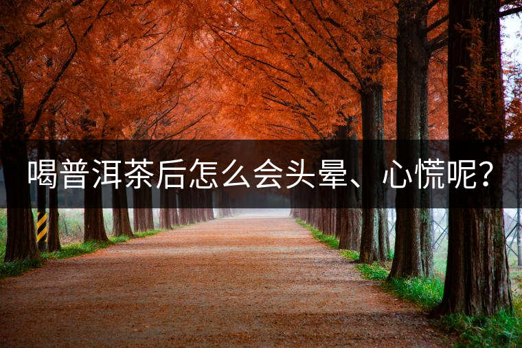 喝普洱茶后怎么會頭暈、心慌呢？