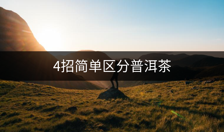 4招簡(jiǎn)單區(qū)分普洱茶