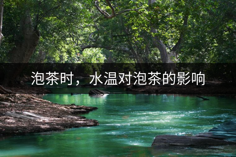 泡茶時，水溫對泡茶的影響