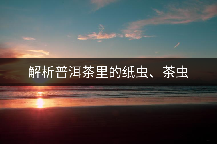 解析普洱茶里的紙蟲、茶蟲