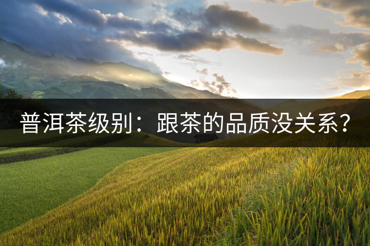 普洱茶級別：跟茶的品質(zhì)沒關(guān)系？