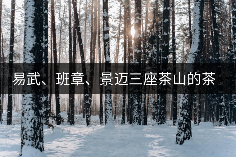 易武、班章、景邁三座茶山的茶比較