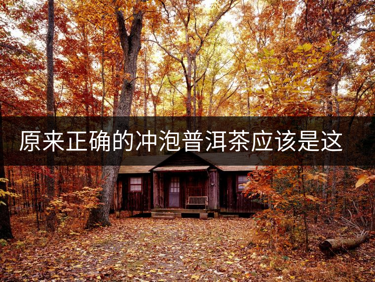 原來(lái)正確的沖泡普洱茶應(yīng)該是這樣的