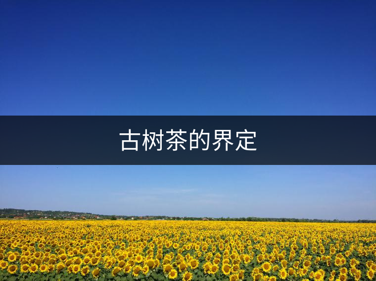 古樹茶的界定