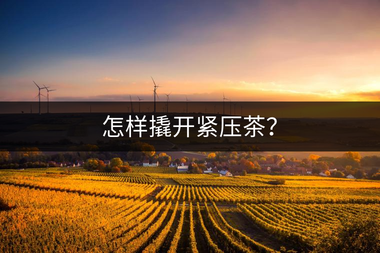 怎樣撬開緊壓茶？