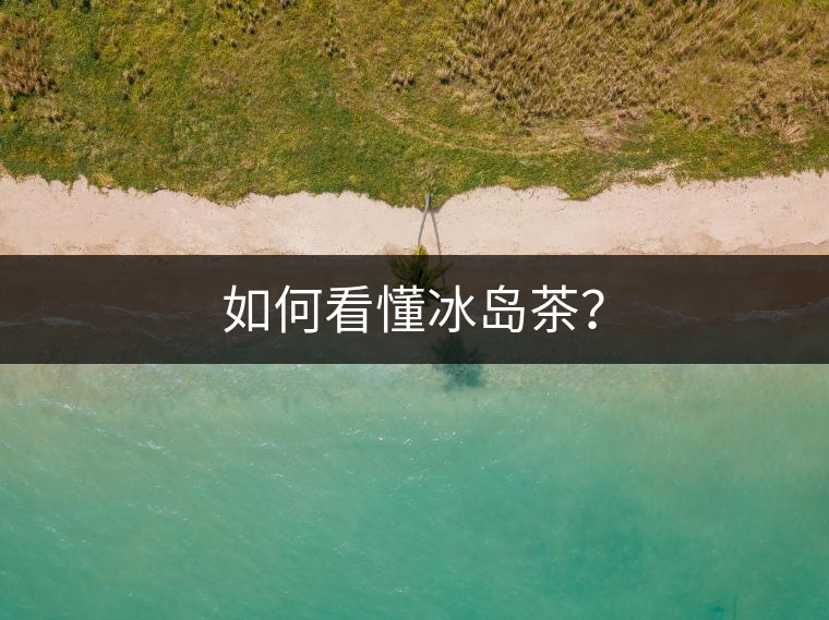 如何看懂冰島茶？