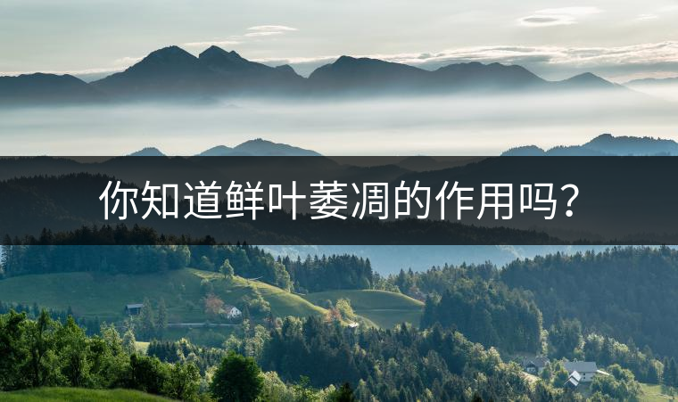 你知道鮮葉萎凋的作用嗎？