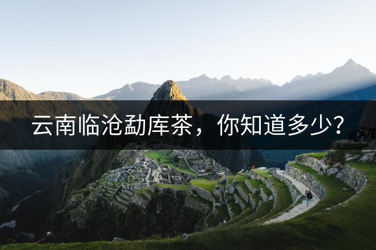 云南臨滄勐庫茶，你知道多少？