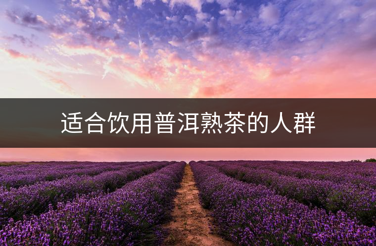 適合飲用普洱熟茶的人群