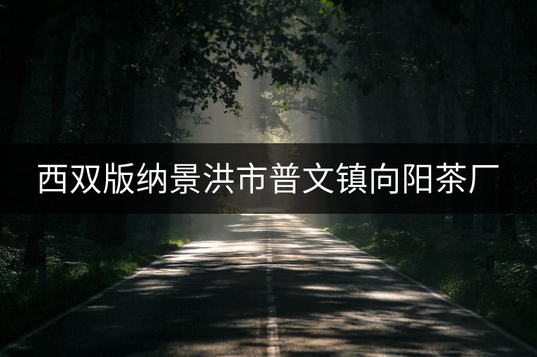 西雙版納景洪市普文鎮(zhèn)向陽(yáng)茶廠