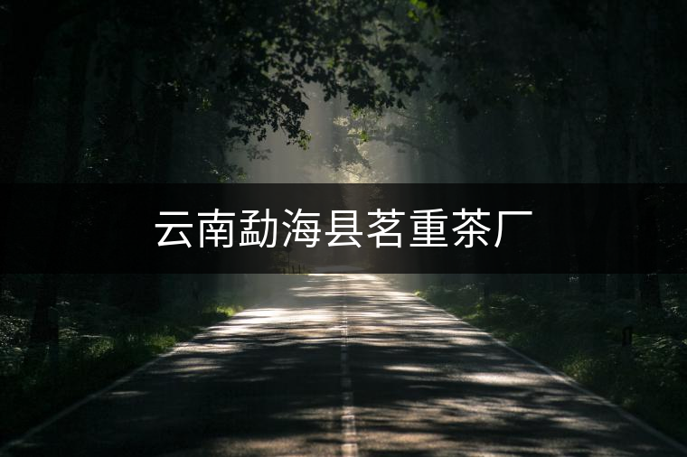 云南勐?？h茗重茶廠