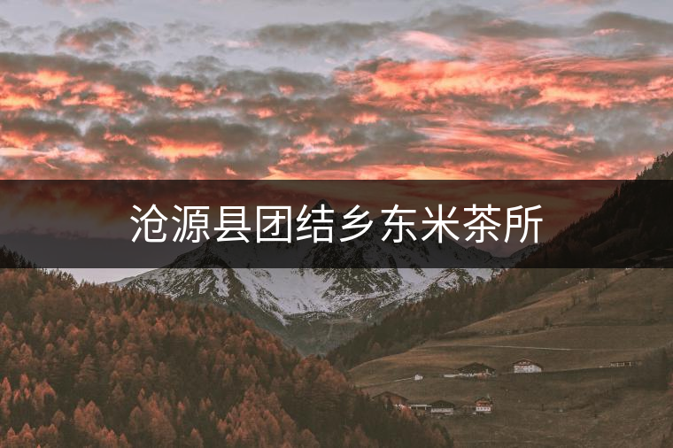 滄源縣團(tuán)結(jié)鄉(xiāng)東米茶所