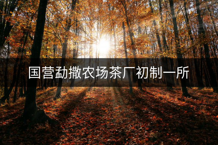 國營勐撒農(nóng)場茶廠初制一所