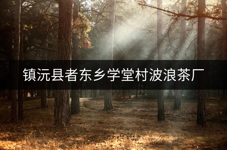 鎮(zhèn)沅縣者東鄉(xiāng)學堂村波浪茶廠