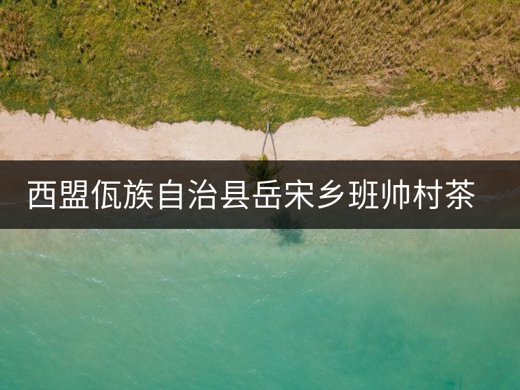 西盟佤族自治縣岳宋鄉(xiāng)班帥村茶廠(chǎng) 西盟佤族自治縣岳宋鄉(xiāng)班帥村茶廠(chǎng)