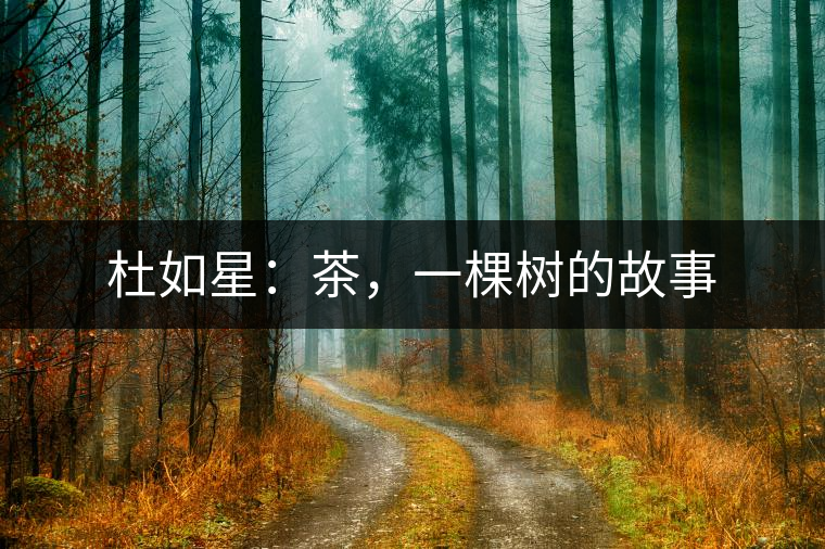 杜如星：茶，一棵樹的故事