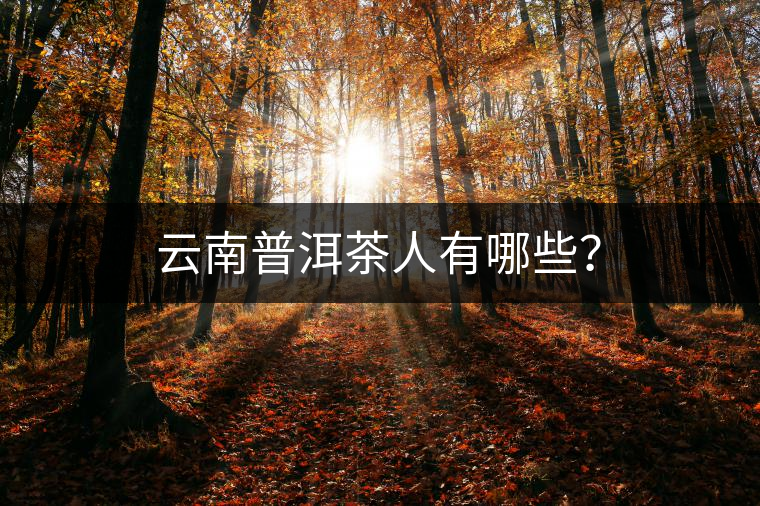 云南普洱茶人有哪些？