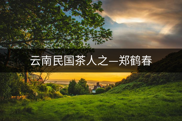 云南民國茶人之—鄭鶴春 云南民國茶人之—鄭鶴春