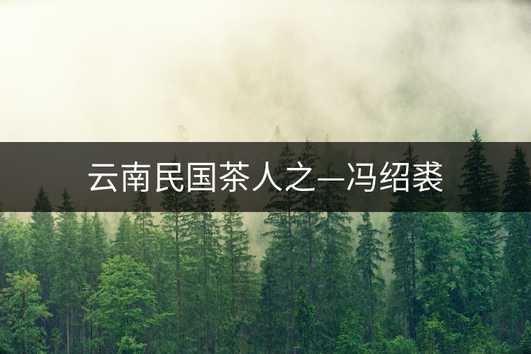 云南民國(guó)茶人之—馮紹裘