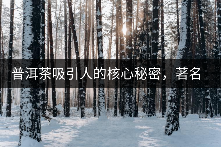 普洱茶吸引人的核心秘密，著名作家余秋雨先生三句話就告訴你